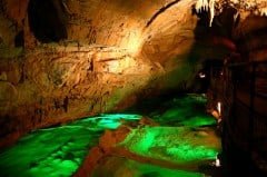 Grotte Chauvet